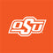 Oklahoma State University Vintage Xbox 360 (Includes HDD) Skin